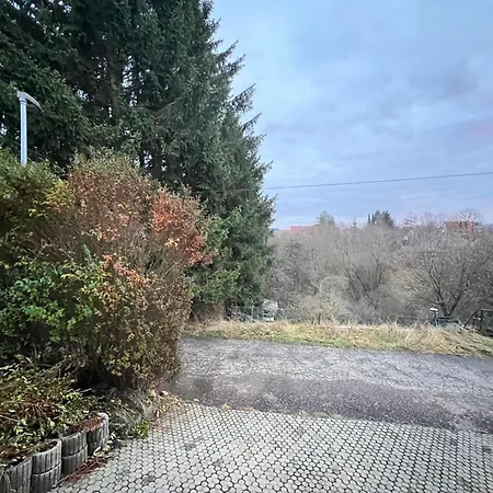 Gemuetliche 2 Z. Mit Charme
